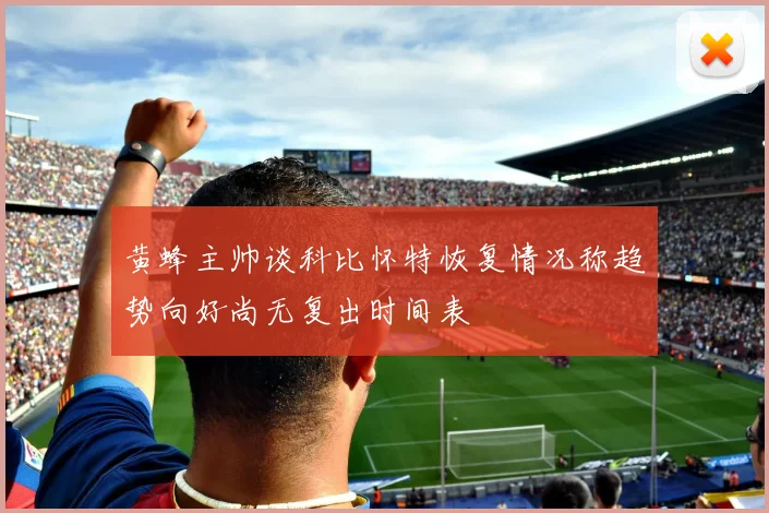 黄蜂主帅谈科比怀特恢复情况称趋势向好尚无复出时间表